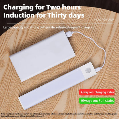 Motion Sensor Light Wireless 
